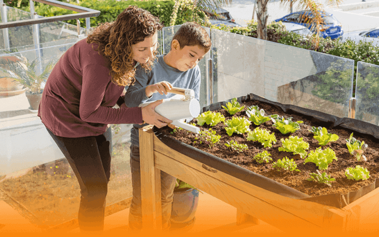 ¡Cultiva tu propia comida verde desde casa!